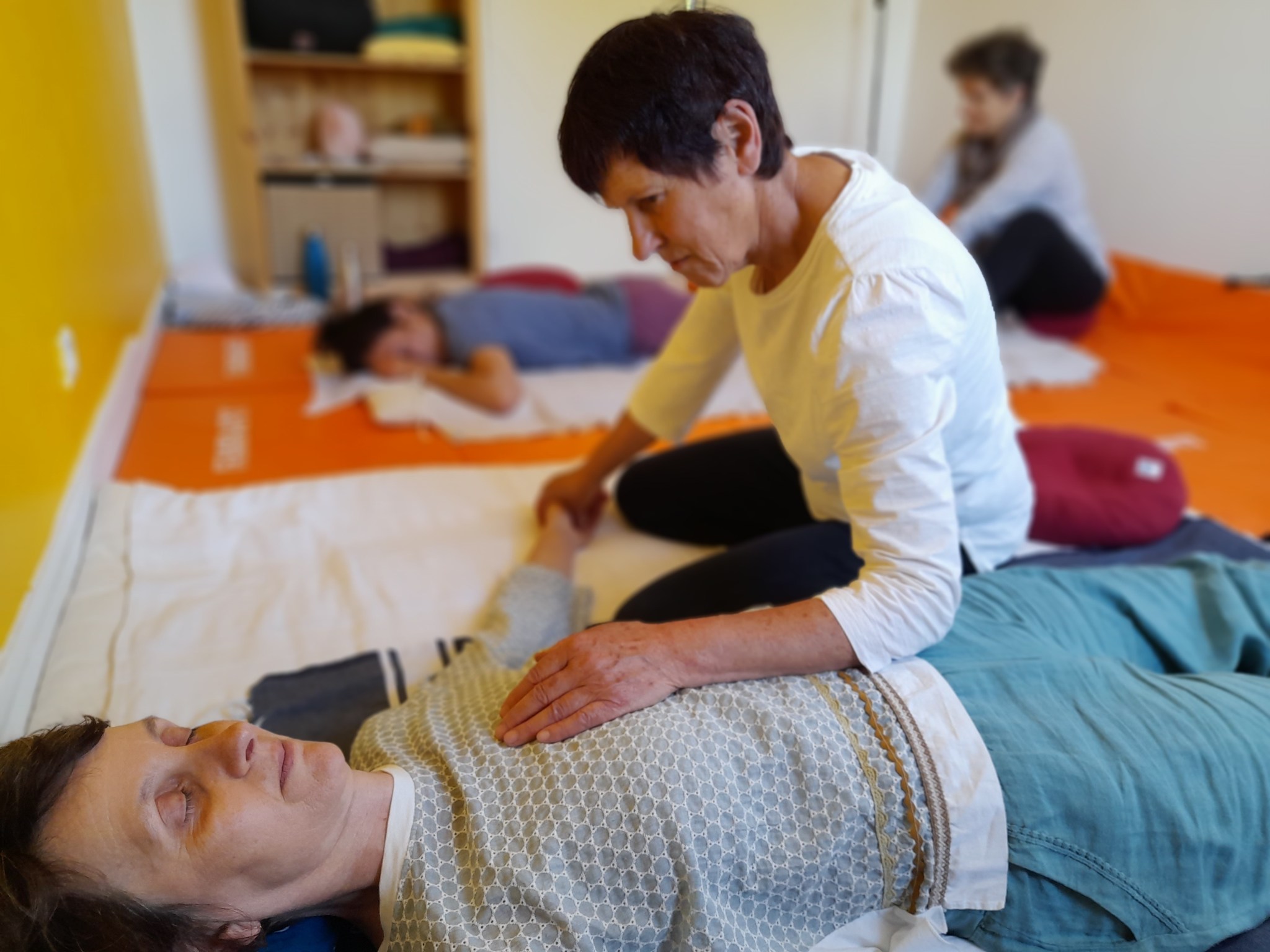 Rentrée Heiwa Shiatsu 2024 2025