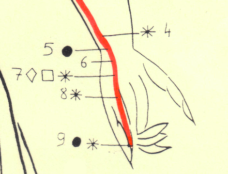 Méridien du Coeur - Points de la main et du poignet
