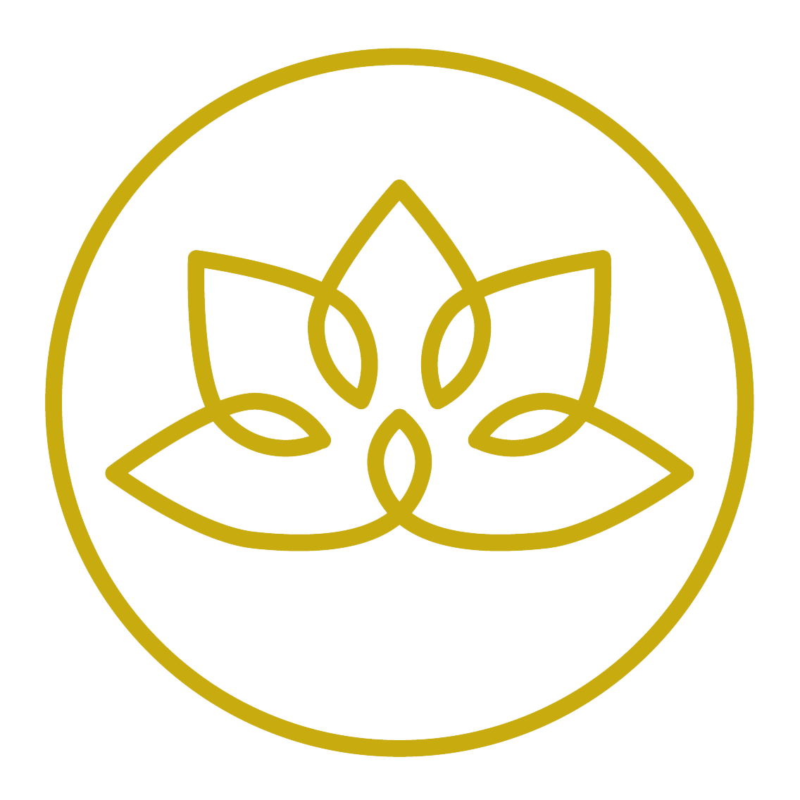 Solde formation Niveau 4 + 2024 2025