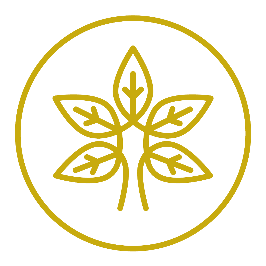 Solde (après arrhes) Formation avec Financement- Niveau 1, 2 ou 3