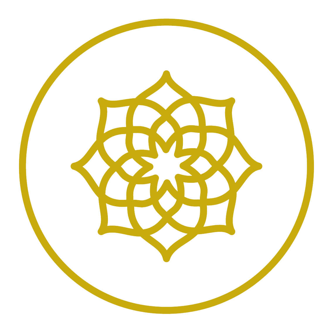 Formation avec Financement -Totalité du niveau 1, 2 ou 3